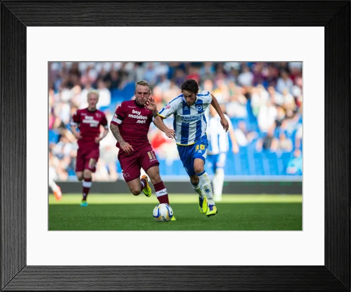 Framed Print : Brighton & Hove Albion vs. Derby County: A Historic Home Game (2013-14 Season) Framed Print : Brighton & Hove Albion vs. Derby County: A Historic Home Game (2013-14 Season)