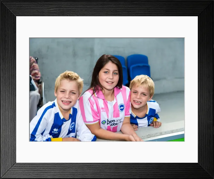 Framed Print : Brighton & Hove Albion vs. Derby County: A Historic 10-08-2013 Home Game (10-08-2013: Derby County) Framed Print : Brighton & Hove Albion vs. Derby County: A Historic 10-08-2013 Home Game (10-08-2013: Derby County)