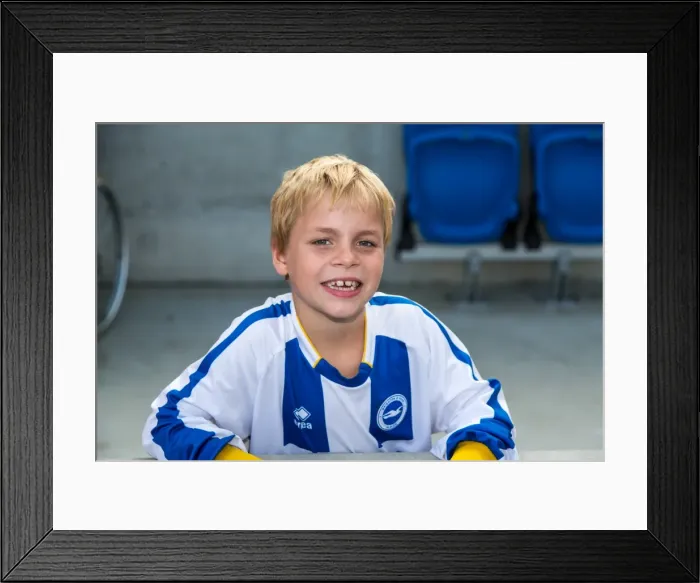 Framed Print : Brighton & Hove Albion vs. Derby County: A Historic 10-08-2013 Home Game (10-08-2013: Derby County) Framed Print : Brighton & Hove Albion vs. Derby County: A Historic 10-08-2013 Home Game (10-08-2013: Derby County)