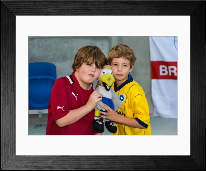 Framed Print : Brighton & Hove Albion vs. Derby County: A Historic 10-08-2013 Home Game (10-08-2013: Derby County) Framed Print : Brighton & Hove Albion vs. Derby County: A Historic 10-08-2013 Home Game (10-08-2013: Derby County)