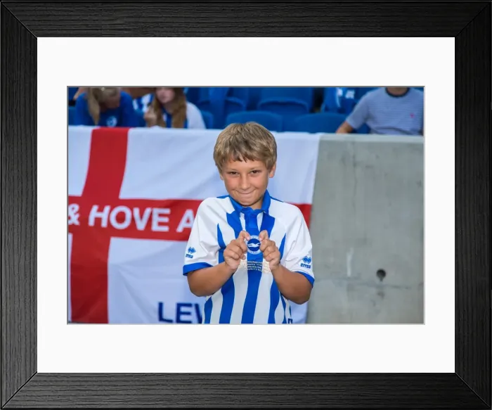 Framed Print : Brighton & Hove Albion vs. Derby County: A Historic Home Game (2013-14 Season) Framed Print : Brighton & Hove Albion vs. Derby County: A Historic Home Game (2013-14 Season)