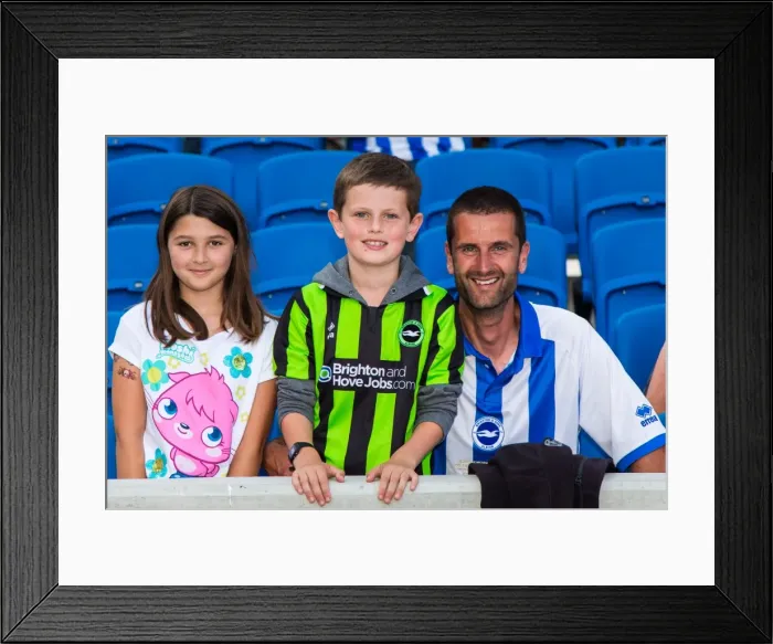 Framed Print : Brighton & Hove Albion vs. Derby County: A Historic Home Game (2013-14 Season) Framed Print : Brighton & Hove Albion vs. Derby County: A Historic Home Game (2013-14 Season)