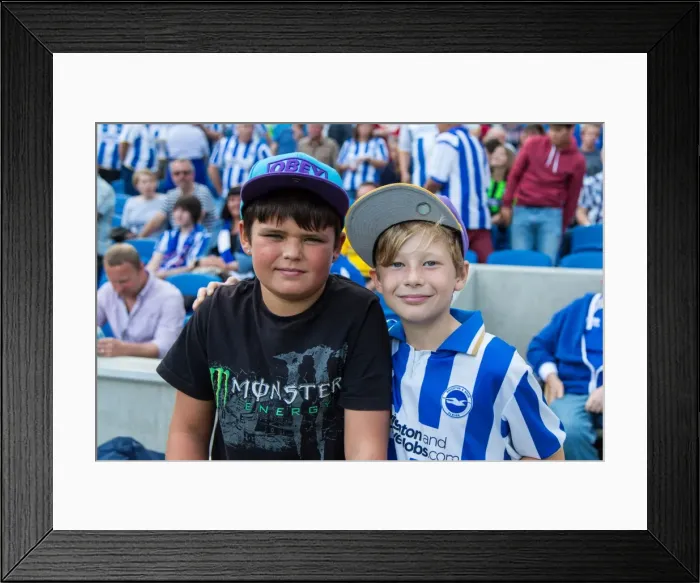 Framed Print : Brighton & Hove Albion vs. Derby County: A Historic 10-08-2013 Home Game (10-13) Framed Print : Brighton & Hove Albion vs. Derby County: A Historic 10-08-2013 Home Game (10-13)