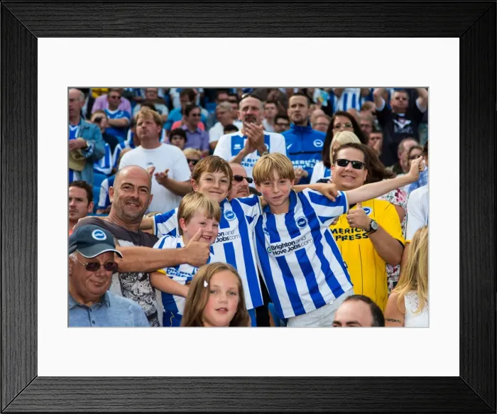 Framed Print : Brighton & Hove Albion vs. Derby County: A Historic Home Game (2013-14 Season) Framed Print : Brighton & Hove Albion vs. Derby County: A Historic Home Game (2013-14 Season)