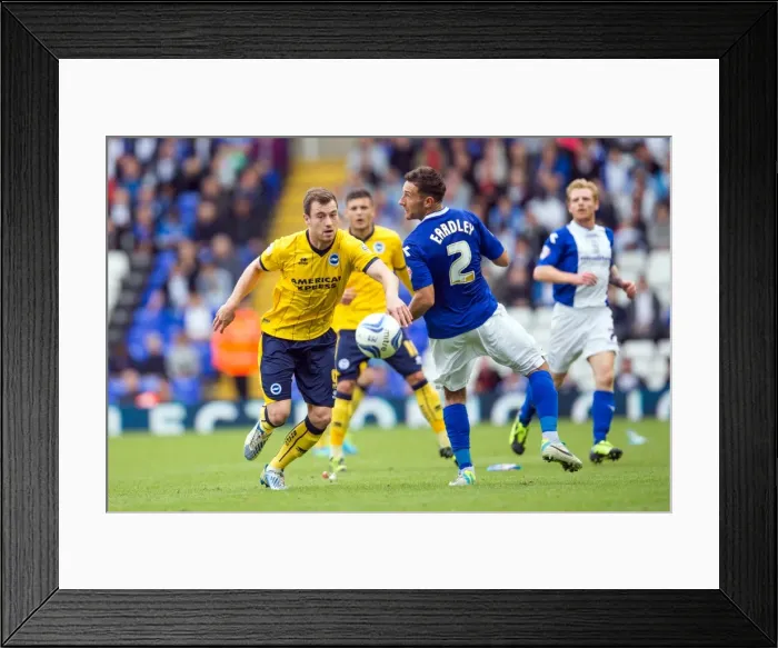 Framed Print : Brighton & Hove Albion vs. Birmingham City: Away Game (2013-14 Season) Framed Print : Brighton & Hove Albion vs. Birmingham City: Away Game (2013-14 Season)