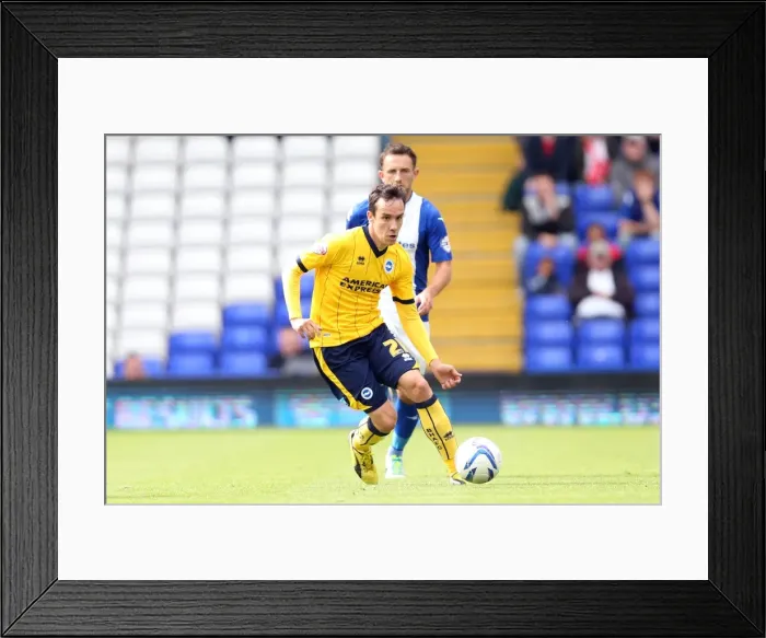 Framed Print : Brighton & Hove Albion vs. Birmingham City: Away Game (August 17, 2013) Framed Print : Brighton & Hove Albion vs. Birmingham City: Away Game (August 17, 2013)
