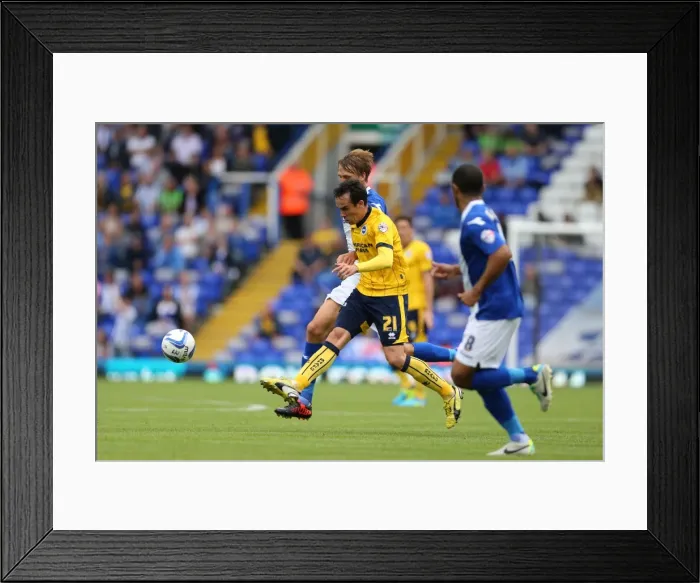 Framed Print : Brighton & Hove Albion vs. Birmingham City: 2013-14 Away Game Framed Print : Brighton & Hove Albion vs. Birmingham City: 2013-14 Away Game