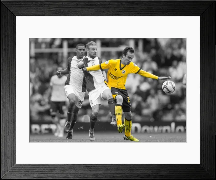 Framed Print : Brighton & Hove Albion vs. Birmingham City: Away Game (2013-14 Season)