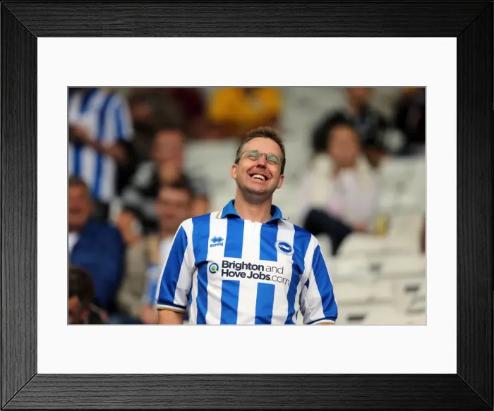 Framed Print : Brighton & Hove Albion vs. Birmingham City: Away Game (2013-14 Season)