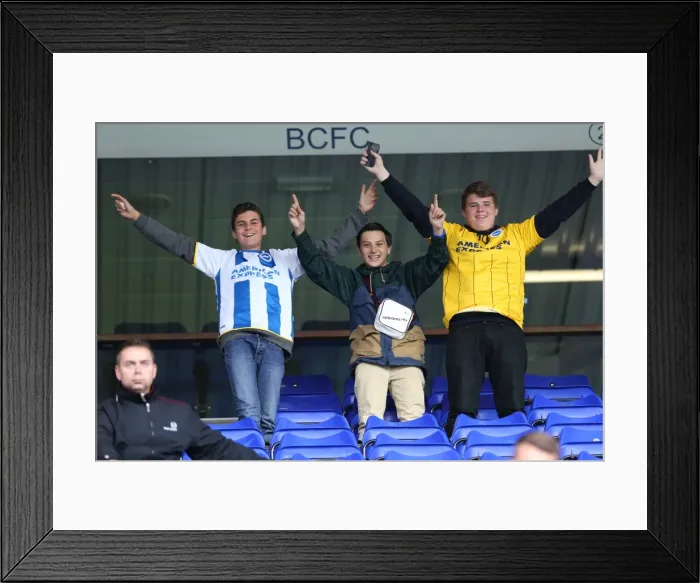 Framed Print : Brighton and Hove Albion Away Days 2013-14: Birmingham City (August 17, 2013) - Sea of Supporters Framed Print : Brighton and Hove Albion Away Days 2013-14: Birmingham City (August 17, 2013) - Sea of Supporters