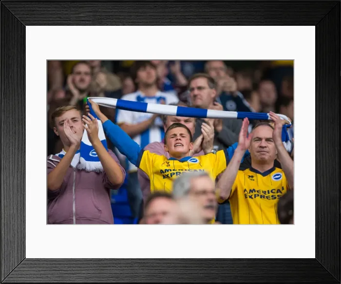 Framed Print : Sea of Supporters: Brighton and Hove Albion Away Day at Birmingham City (2013-14) Framed Print : Sea of Supporters: Brighton and Hove Albion Away Day at Birmingham City (2013-14)