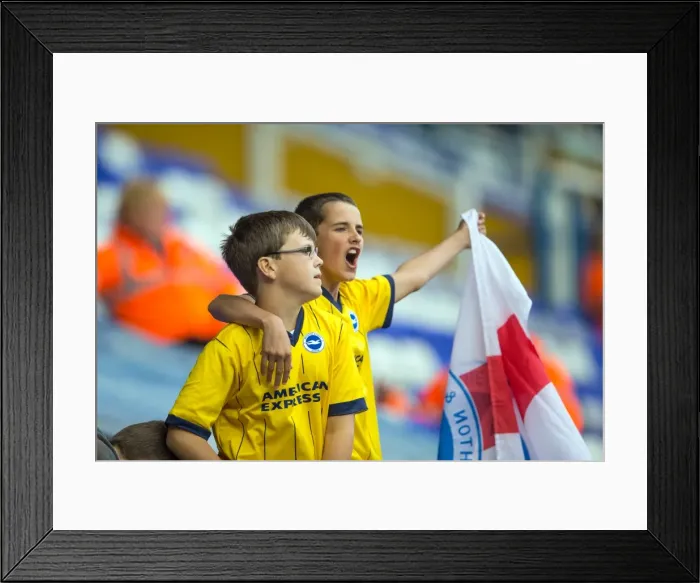 Framed Print : Brighton & Hove Albion vs. Birmingham City: 2013-14 Away Game Framed Print : Brighton & Hove Albion vs. Birmingham City: 2013-14 Away Game