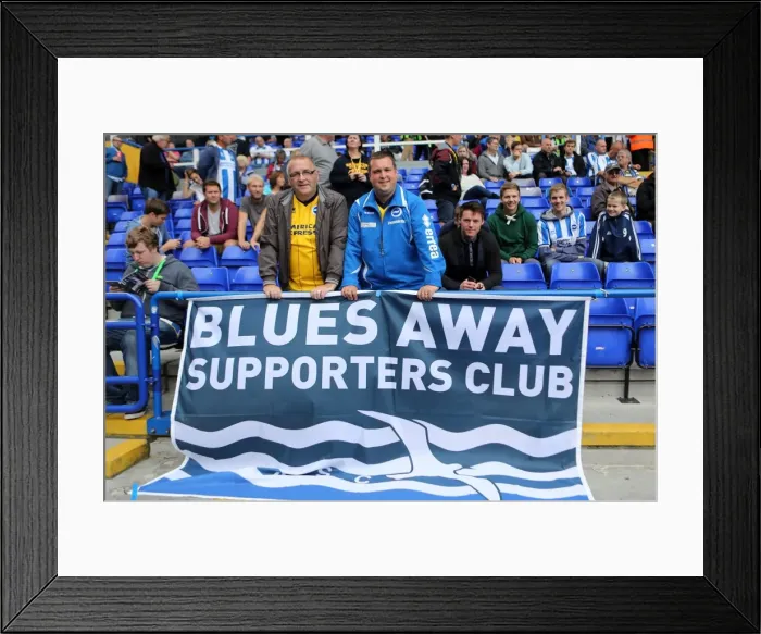 Framed Print : Brighton & Hove Albion vs. Birmingham City: Away Game (August 17, 2013)