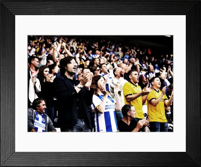 Framed Print : Brighton and Hove Albion Away Days 2013-14: Birmingham City - Fan Atmosphere Framed Print : Brighton and Hove Albion Away Days 2013-14: Birmingham City - Fan Atmosphere