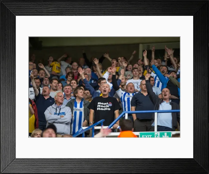 Framed Print : Brighton & Hove Albion vs. Birmingham City: Away Game (August 17, 2013)