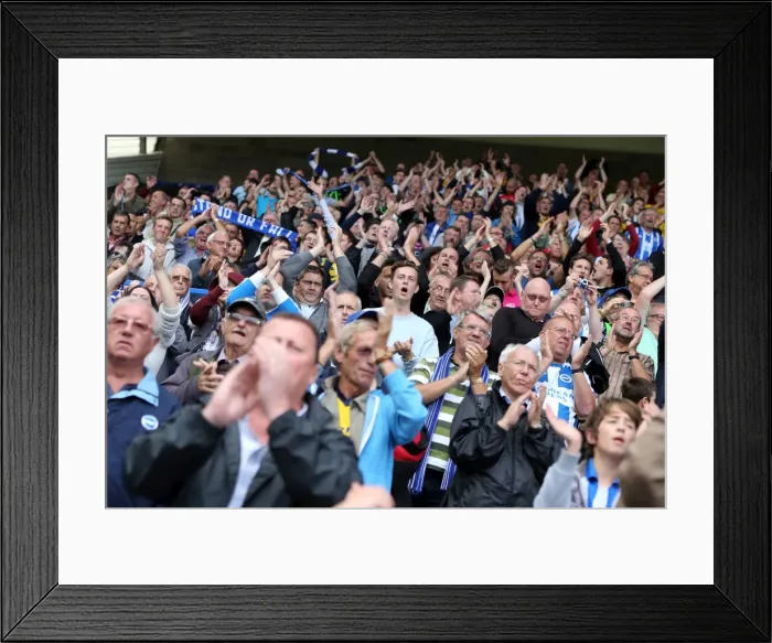 Framed Print : Brighton & Hove Albion vs. Birmingham City: 2013-14 Away Game