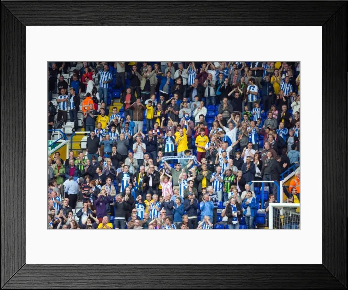 Framed Print : Brighton & Hove Albion vs. Birmingham City: Away Game (2013-14 Season)