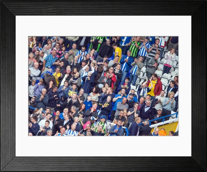 Framed Print : Brighton & Hove Albion vs. Birmingham City: Away Game (August 17, 2013)