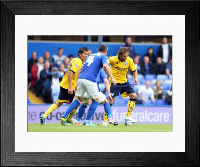 Framed Print : Brighton & Hove Albion vs. Birmingham City: Away Game (2013-14 Season)