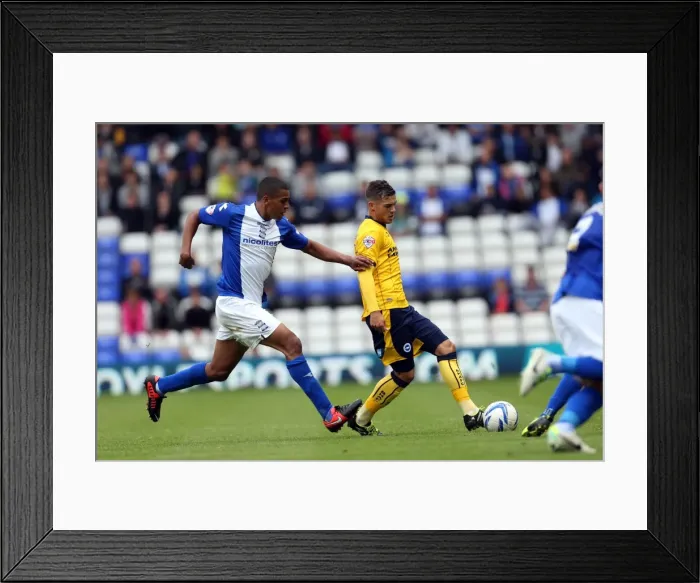 Framed Print : Brighton & Hove Albion vs. Birmingham City: Away Game (2013-14 Season)