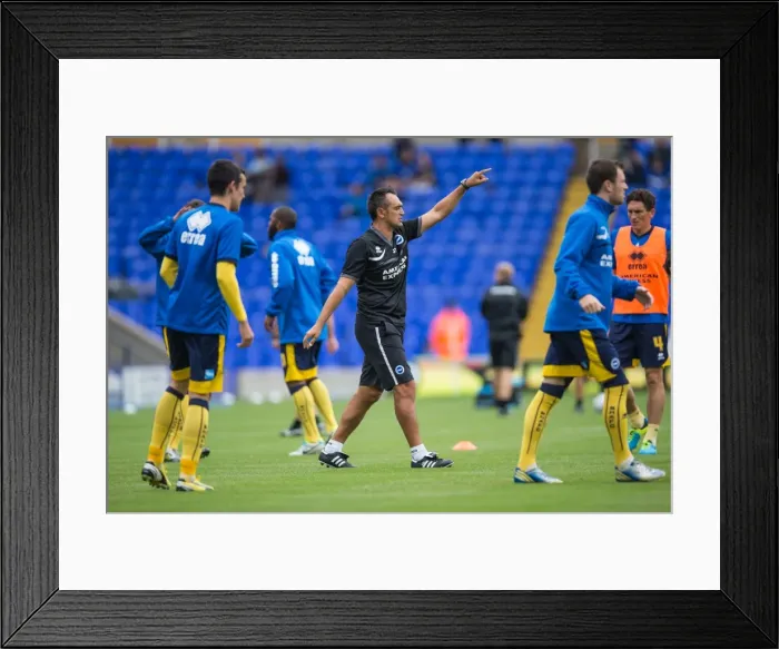 Framed Print : Brighton & Hove Albion vs. Birmingham City: Away Game (2013-14 Season)