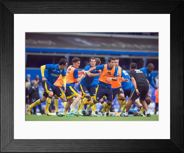 Framed Print : Brighton & Hove Albion vs. Birmingham City: Away Game (2013-14 Season)