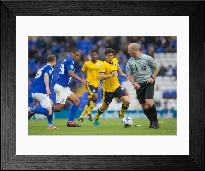 Framed Print : Brighton & Hove Albion vs. Birmingham City: Away Game (August 17, 2013)
