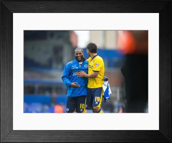 Framed Print : Brighton & Hove Albion vs. Birmingham City: Away Game (2013-14 Season)