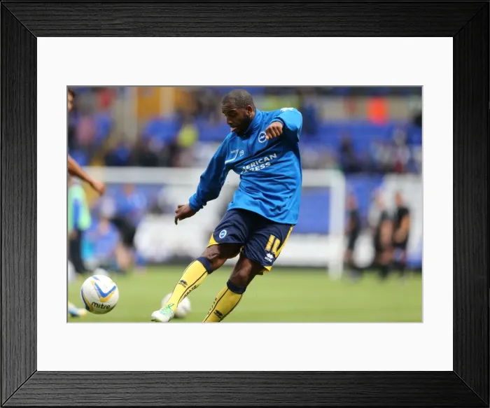 Framed Print : Brighton & Hove Albion vs. Birmingham City: Away Game (August 17, 2013)
