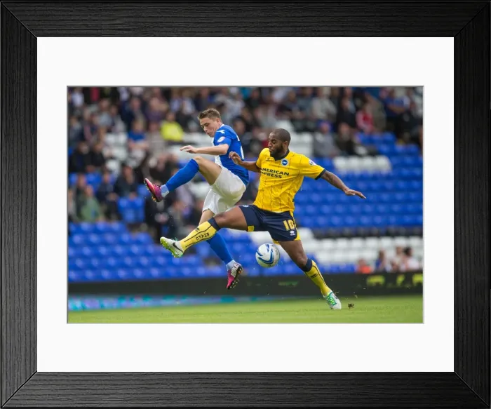 Framed Print : Brighton & Hove Albion vs. Birmingham City: Away Game (2013-14 Season)