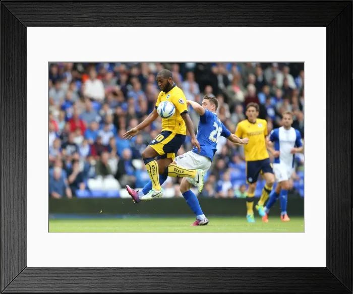 Framed Print : Brighton & Hove Albion vs. Birmingham City: Away Game (August 17, 2013)