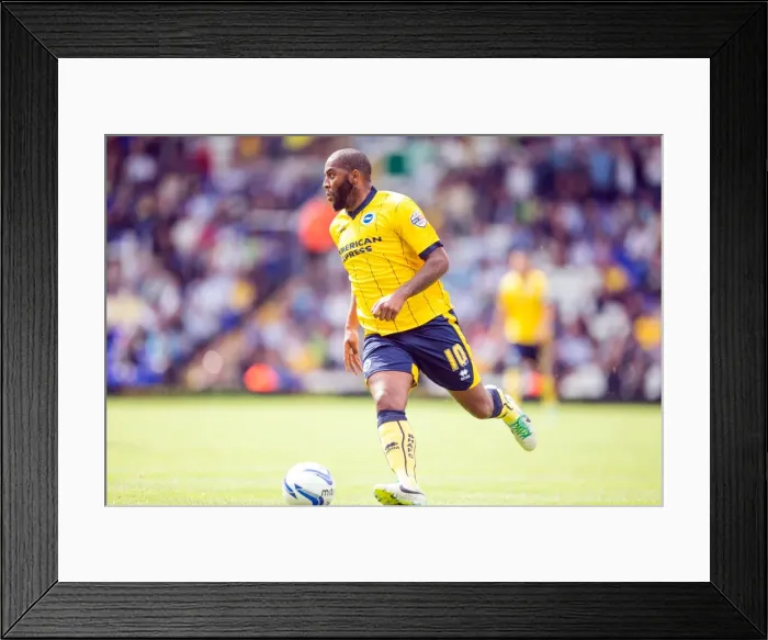 Framed Print : Brighton & Hove Albion vs. Birmingham City: 2013-14 Away Game