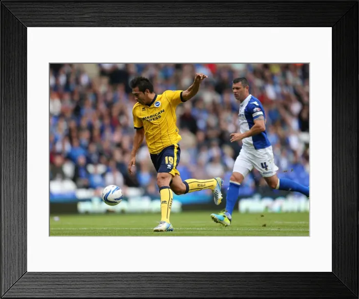 Framed Print : Brighton & Hove Albion vs. Birmingham City: Away Game (August 17, 2013) Framed Print : Brighton & Hove Albion vs. Birmingham City: Away Game (August 17, 2013)