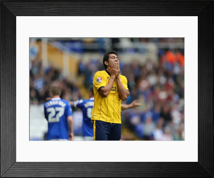 Framed Print : Brighton & Hove Albion vs. Birmingham City: Away Game (2013-14 Season)