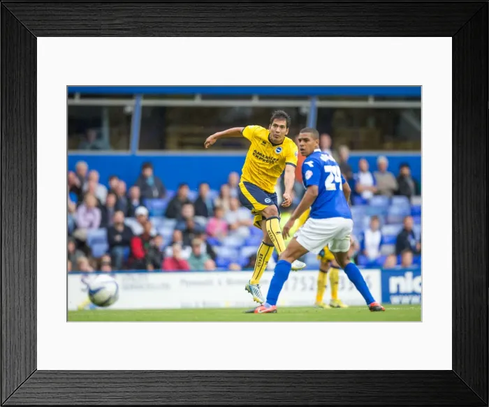 Framed Print : Brighton & Hove Albion vs. Birmingham City: Away Game (2013-14 Season) Framed Print : Brighton & Hove Albion vs. Birmingham City: Away Game (2013-14 Season)