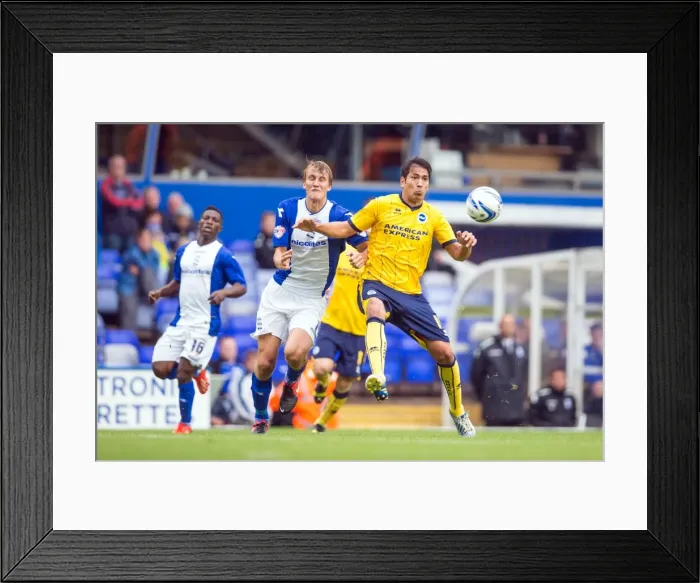 Framed Print : Brighton & Hove Albion vs. Birmingham City: Away Game - August 17, 2013