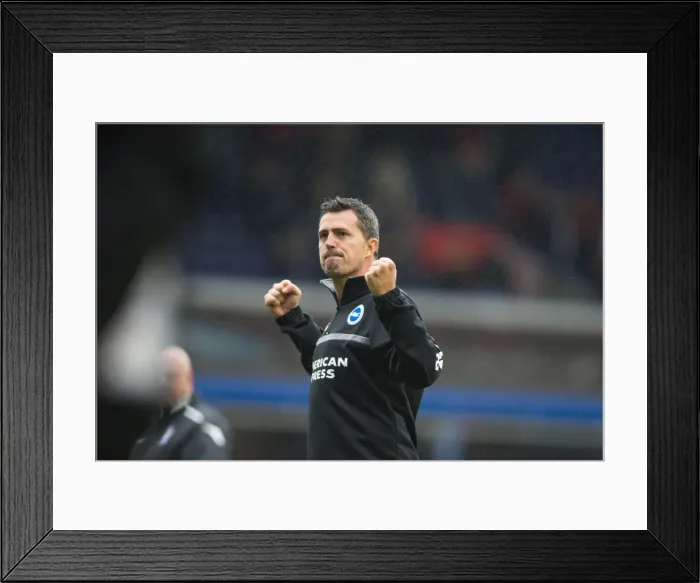 Framed Print : Brighton & Hove Albion vs. Birmingham City: Away Game (2013-14 Season)