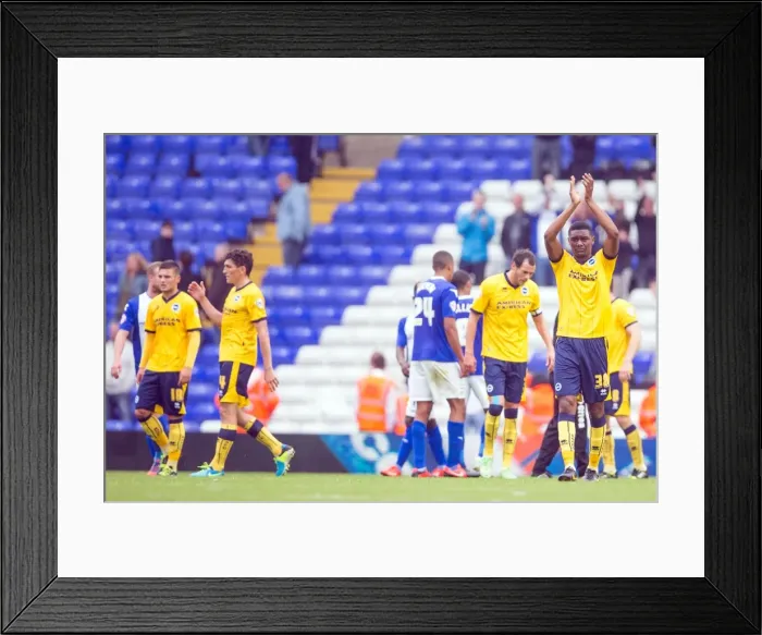 Framed Print : Brighton & Hove Albion vs. Birmingham City: Away Game (August 17, 2013) Framed Print : Brighton & Hove Albion vs. Birmingham City: Away Game (August 17, 2013)