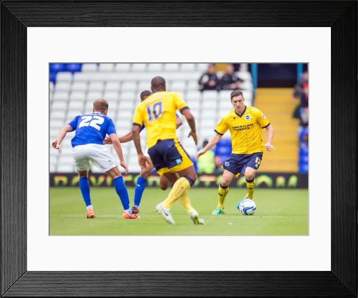 Framed Print : Brighton & Hove Albion vs. Birmingham City: Away Game (2013-14 Season)