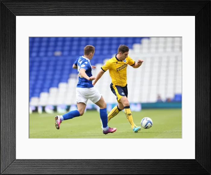 Framed Print : Brighton & Hove Albion vs. Birmingham City: Away Game (2013-14 Season) Framed Print : Brighton & Hove Albion vs. Birmingham City: Away Game (2013-14 Season)