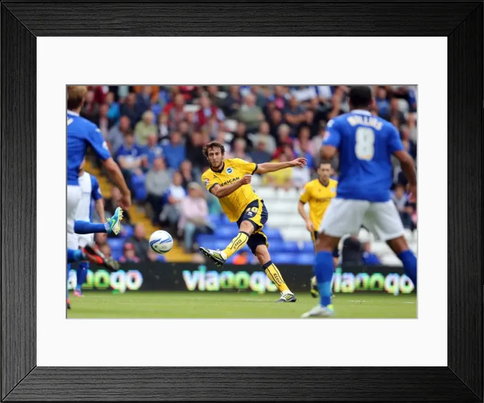 Framed Print : Brighton & Hove Albion vs. Birmingham City: Away Game (2013-14 Season) Framed Print : Brighton & Hove Albion vs. Birmingham City: Away Game (2013-14 Season)