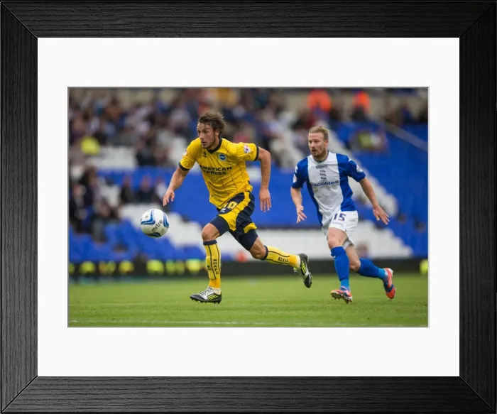 Framed Print : Brighton & Hove Albion vs. Birmingham City: Away Game (August 17, 2013) Framed Print : Brighton & Hove Albion vs. Birmingham City: Away Game (August 17, 2013)