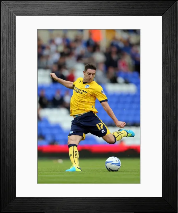 Framed Print : Stephen Ward in Action: Birmingham City vs. Brighton & Hove Albion, Sky Bet Championship, August 17, 2013 Framed Print : Stephen Ward in Action: Birmingham City vs. Brighton & Hove Albion, Sky Bet Championship, August 17, 2013