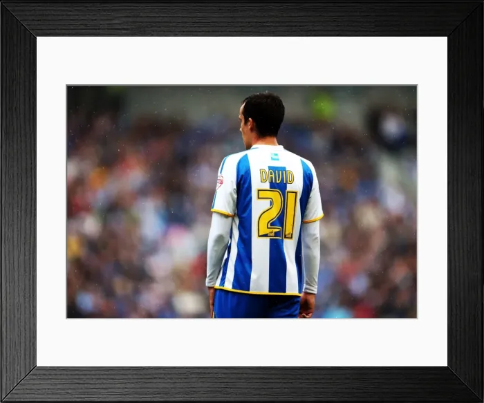 Framed Print : Brighton & Hove Albion vs. Burnley (2013-14): Home Game - 24-08-2013 Framed Print : Brighton & Hove Albion vs. Burnley (2013-14): Home Game - 24-08-2013