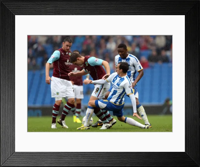 Framed Print : Brighton & Hove Albion vs Burnley: Home Game - August 24, 2013 Framed Print : Brighton & Hove Albion vs Burnley: Home Game - August 24, 2013