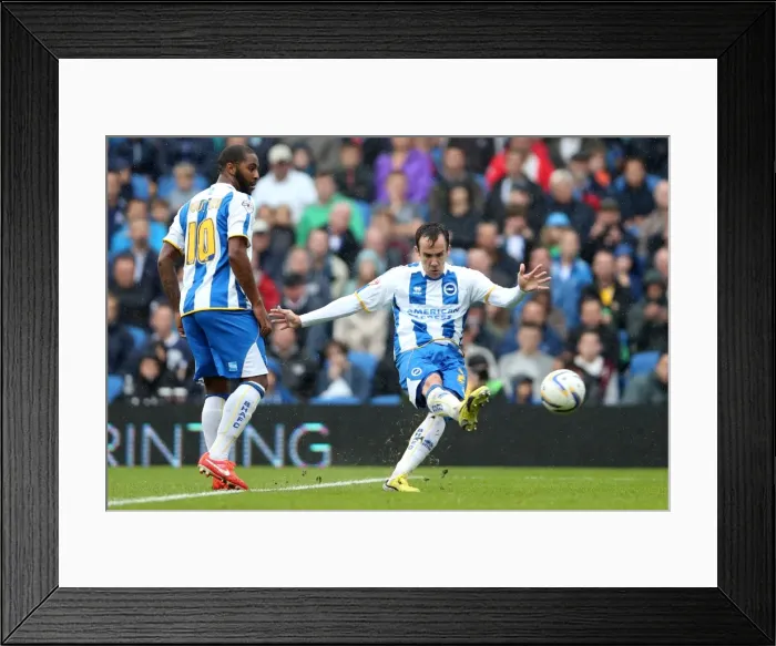 Framed Print : Brighton & Hove Albion vs. Burnley: Home Game - August 24, 2013 Framed Print : Brighton & Hove Albion vs. Burnley: Home Game - August 24, 2013