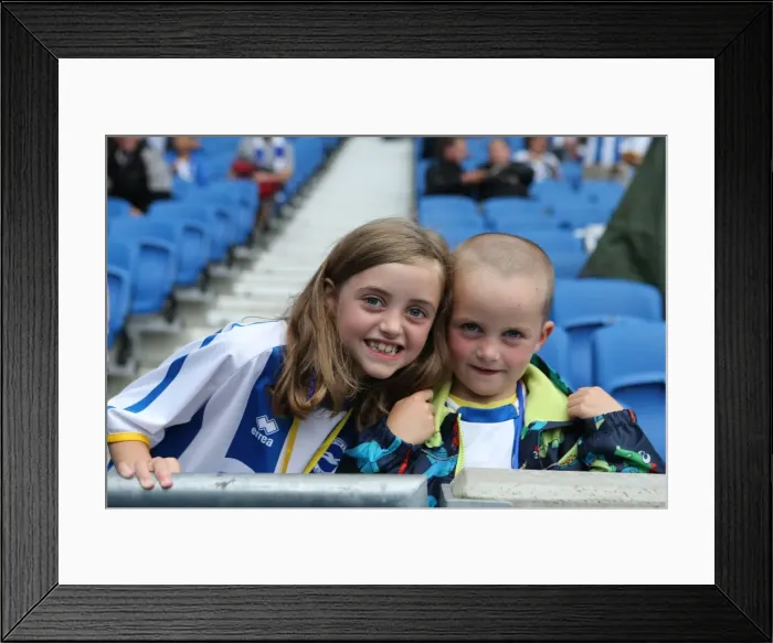 Framed Print : Brighton & Hove Albion vs. Burnley: Home Game - August 24, 2013 Framed Print : Brighton & Hove Albion vs. Burnley: Home Game - August 24, 2013