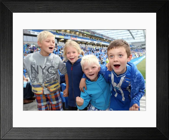Framed Print : Brighton & Hove Albion vs. Burnley: Home Game - August 24, 2013 Framed Print : Brighton & Hove Albion vs. Burnley: Home Game - August 24, 2013