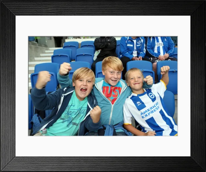 Framed Print : Brighton & Hove Albion vs. Burnley: Home Game - August 24, 2013 Framed Print : Brighton & Hove Albion vs. Burnley: Home Game - August 24, 2013