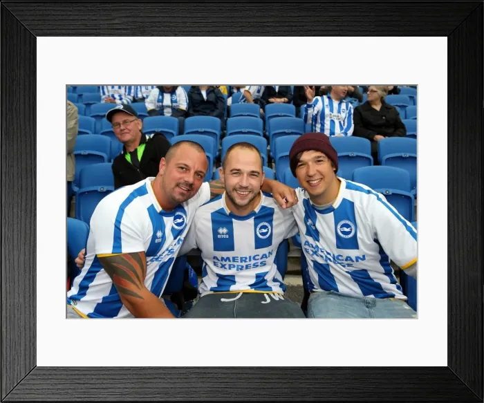 Framed Print : Brighton and Hove Albion FC: Electric Atmosphere at The Amex - 2013-14 Season (Burnley Game) Framed Print : Brighton and Hove Albion FC: Electric Atmosphere at The Amex - 2013-14 Season (Burnley Game)
